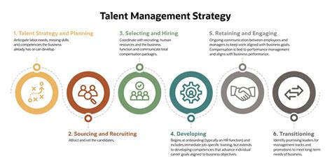 Talent Management Process Map Hot Sex Picture