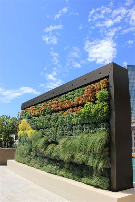 Living Walls Good Earth Plants