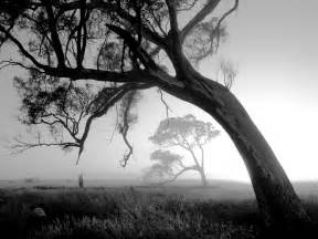 Huge collection of free black and white videos. 30 Black And White Photography Ideas To Inspire From ...