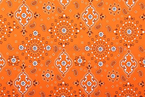 Paisley Prints Bright Orangeblackmulti