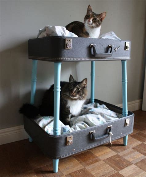 Spoil Your Kitty 27 Creative And Cozy Cat Beds Digsdigs