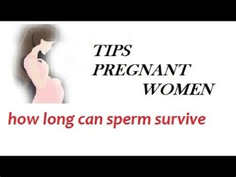 How Long Can Sperm Survive Youtube