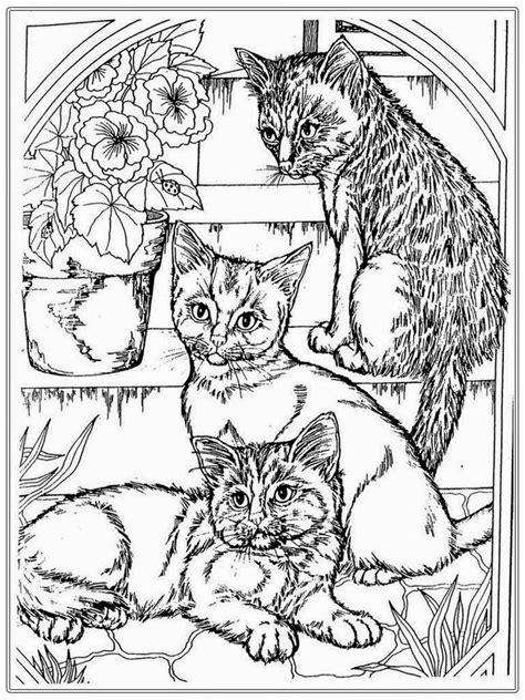 Cats Coloring Pages For Adults Clip Art Library