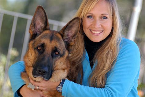 German shepherd puppies available now for sale. Top 60 Blonde German Shepherd Stock Photos, Pictures, and Images - iStock