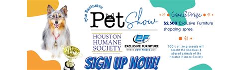 Houston Humane Society Animal And Dog Shelter Sugar Land And Houston Tx