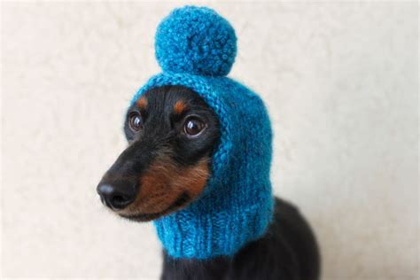 Knitting Pattern Pom Pom Dog Hat Mini Dachshund Dog Hat Etsy