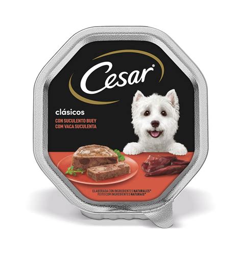 Comprar Comida Perro Cesar Buey 150 G Alimentos Para Perros En Condisline