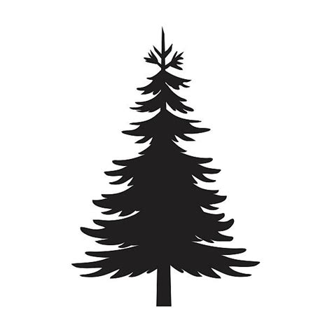22300 Evergreen Trees Silhouettes Illustrations Royalty Free Vector