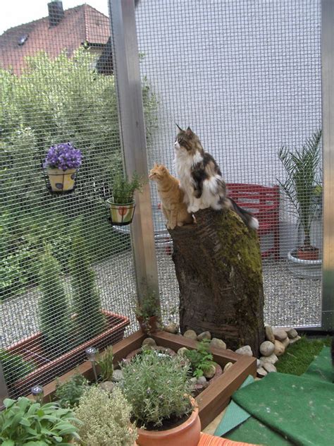 Ich kann sie nur wärmstens weiterempfehlen! Katzensicherer Garten