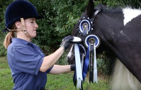 Rescued Foal Four Years Later Wins National Competition 4 Pics