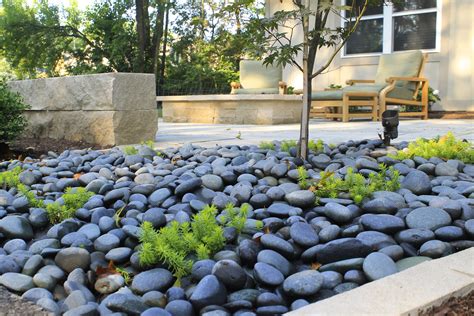 Modern Low Water Garden Drought Tolerant Landscaping Ideas Abbot Kinney Real Estate
