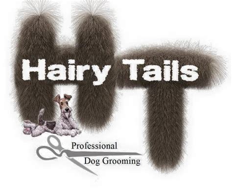 hairy tails home