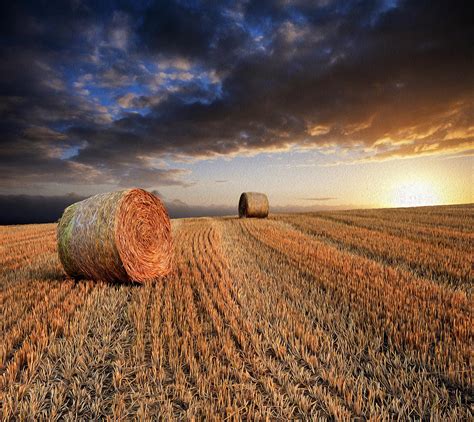 Beautiful Hay Bales Sunset Landscape Digital Painting Photograph By