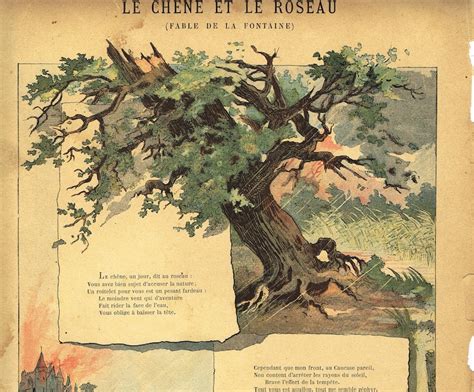 Fables Of Le Chene Et Le Roseau Original 19th Century Print Etsy