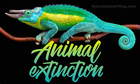 Animal Animal Extinction