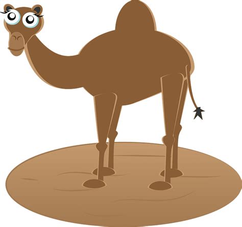 Camel Clipart Free Download Transparent Png Creazilla