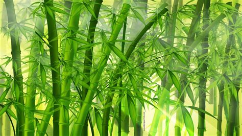 Anime Bamboo Gogambar