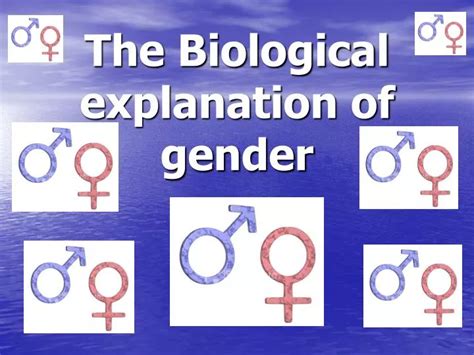 Ppt The Biological Explanation Of Gender Powerpoint Presentation Free Download Id 5577546