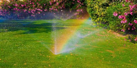 Weather obviously plays a large role in how often to water your lawn. How Often Should I Water My Lawn in Milwaukee?