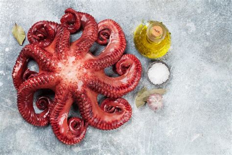 Raw Octopus Cooking Stock Image Image Of Background 112411147