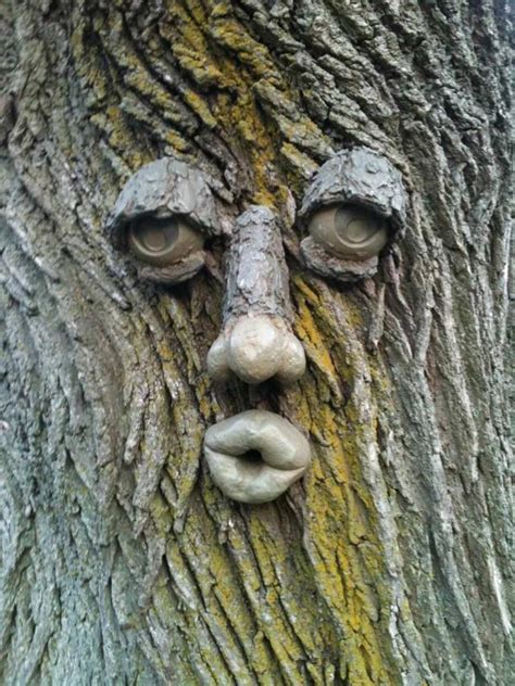 Tree Faces For Sale In Uk 59 Used Tree Faces