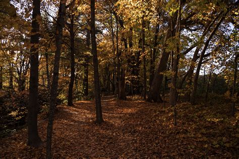 Autumn Forests Full of Foliage at Pewit's Nest, Wisconsin image - Free ...