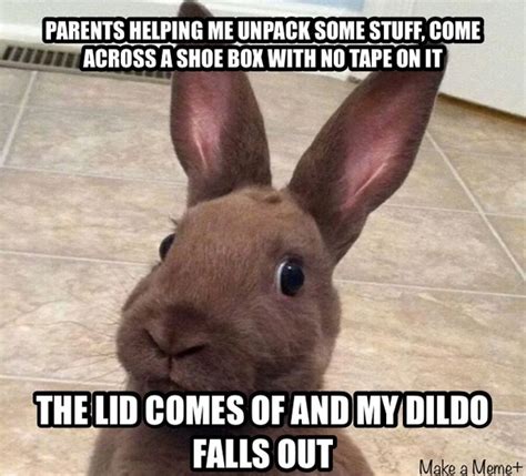 I Know This Is Not The Right Meme But It Was A Rabbit Thought This Pic
