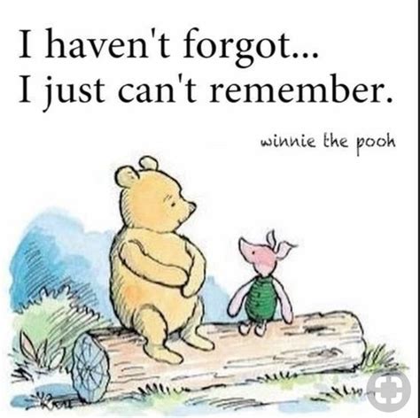 Winnie The Pooh And Piglet Sitting On A Log With Quote From Winnie The Pooh