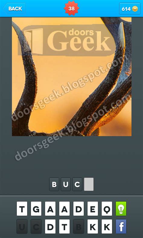 Zoomed In Photo Word Game Level 38 ~ Doors Geek