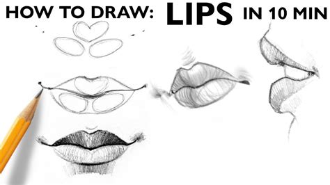 How To Draw Lips Basic Steps Eng Subtitles Youtube