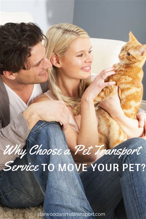 Alibaba.com offers 965 long distance pet tracking products. Why Choose A Pet Transport Service To Move Your Pet | Pet ...