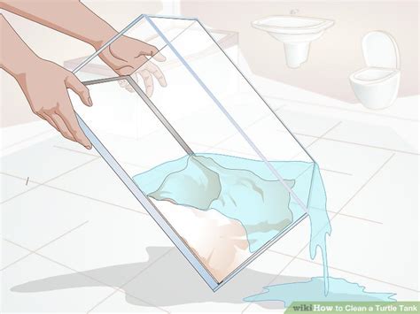 3 Ways To Clean A Turtle Tank Wikihow