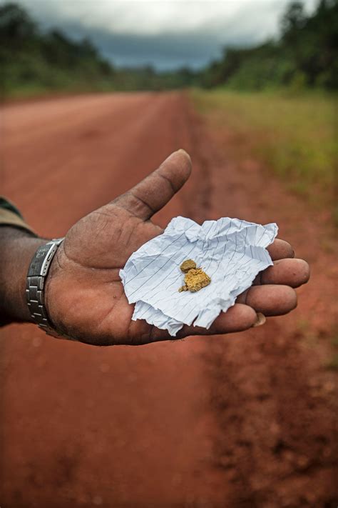 Brazilianen Gaan Op Zoek Naar Goud In Suriname Maar Het Werk Is