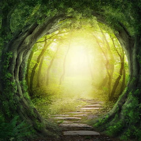 Forest Tunnel Wall Mural Photo Wallpaper Trees Happywall