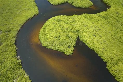 Aerial View Of Florida Wetlands With Green Vegetation Between Ocean