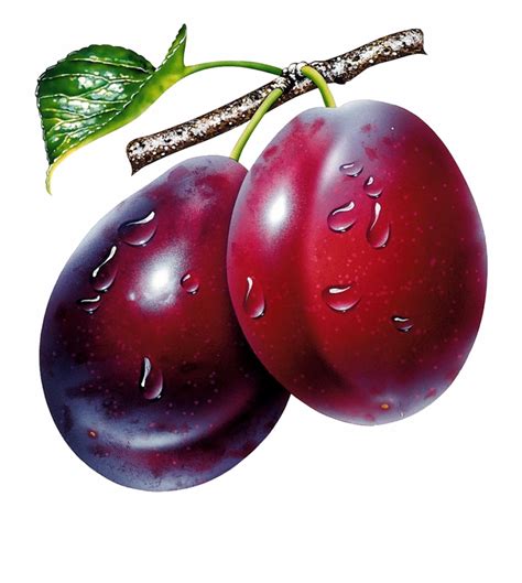 Download Plum Clipart Images Alade