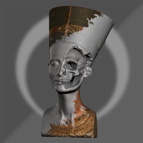 Artstation Nefertiti Skull Expose