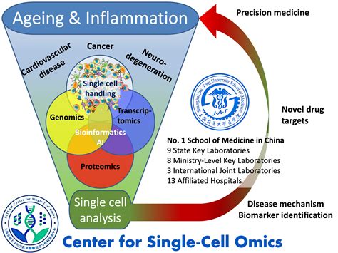 About Center For Single Cell Omics