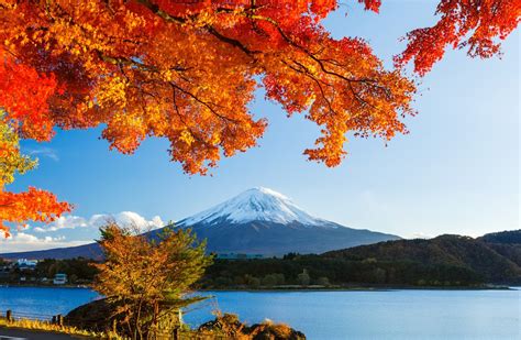 Smarter Translation Autumn In Japan The Season Of Sports