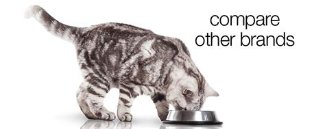 At life's abundance we love pragmatic innovation, and the troubled recall system outlined above got our attention decades ago. Cat Food Comparison - Life's Abundance vs Wellness Complete