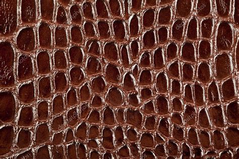 Snake Leather Texture — Stock Photo © Cookelma 4044128