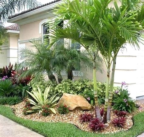 Foxtail Palm Tree Landscaping Ideas Palm Tree Landscape Ideas Landsc