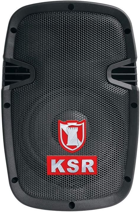Kaiser MSA BTE Kit de Bafle Amplificador Inalámbrico con Bluetooth y Micrófono W