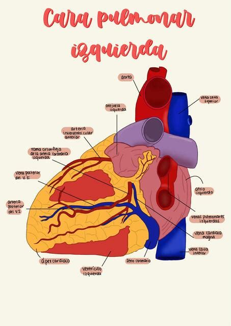 Corazon Udocz