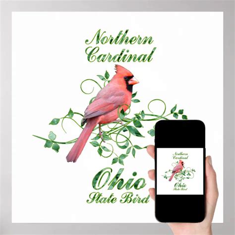 Cardinal Ohio State Bird Poster Zazzle