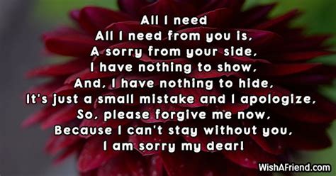 Sorry Poems For Her