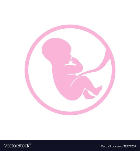 Fetus Icon In A Pink Baby Color Embryol Logo Vector Image