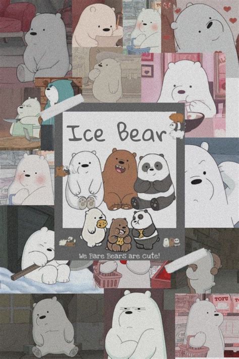 We Bare Bears Wallpaper Kartu Lucu Boneka Binatang Boneka Hewan