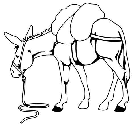 Mule Coloring Page At Getcoloringscom Free Printable