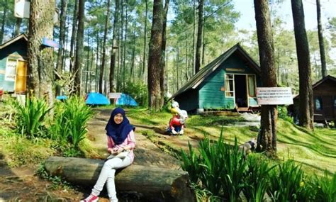 Rumah hobbit paraland resort / harga menginap di rumah. Rumah Hobbit Paraland Resort / Harga Menginap Di Rumah Hobbit Bandung - Ceria kg / Iklan jual ...